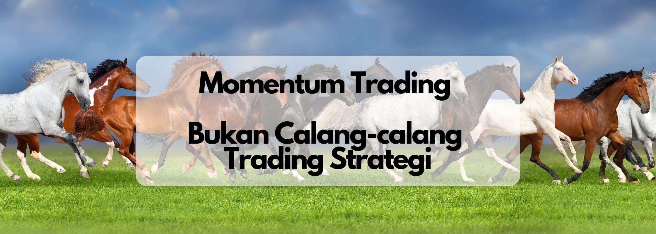 momentum trading olymp trade